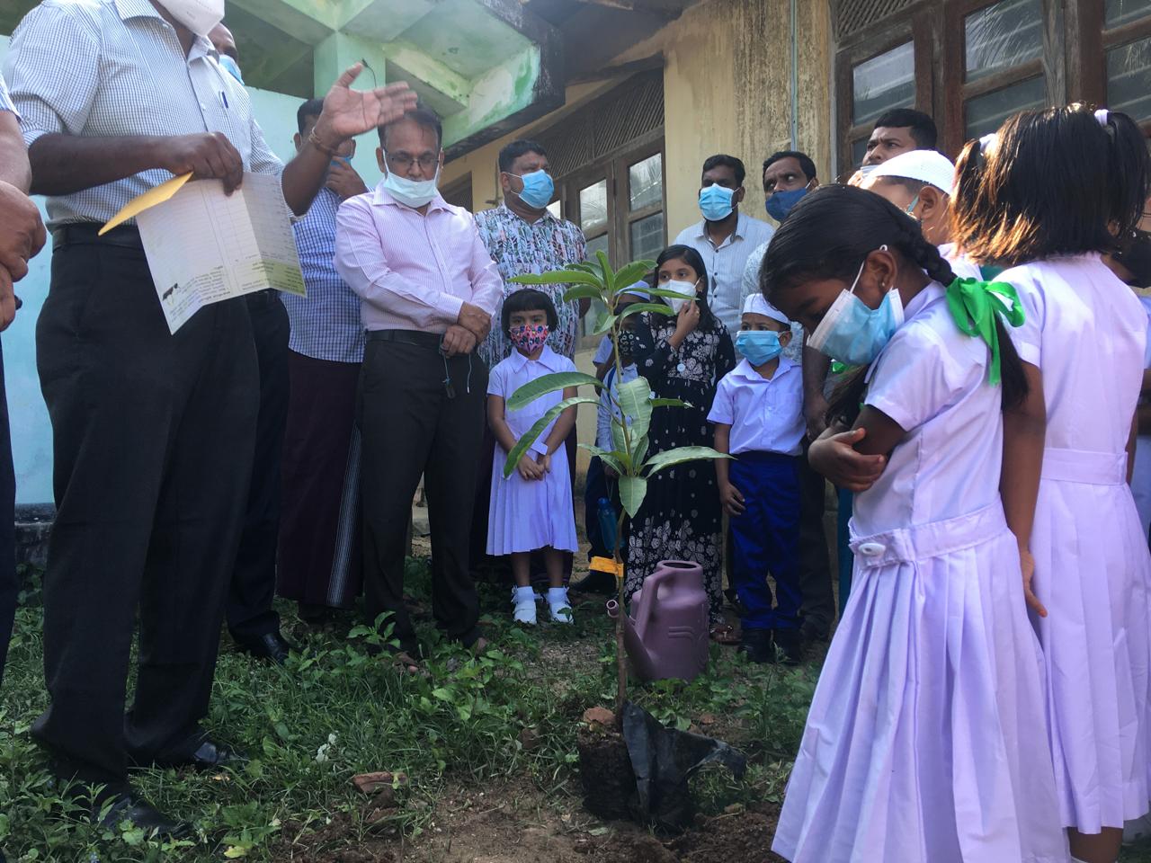 Membres de la communauté de Pottuvil participant à une activité environnementale de Noor Mohamed Foundation.
