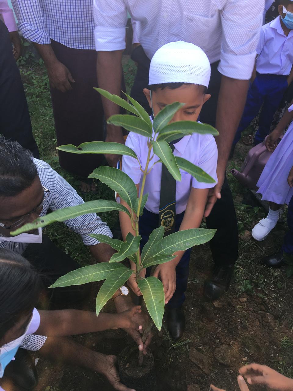 Young student taking part in a community tree-planting activity in Pottuvil.