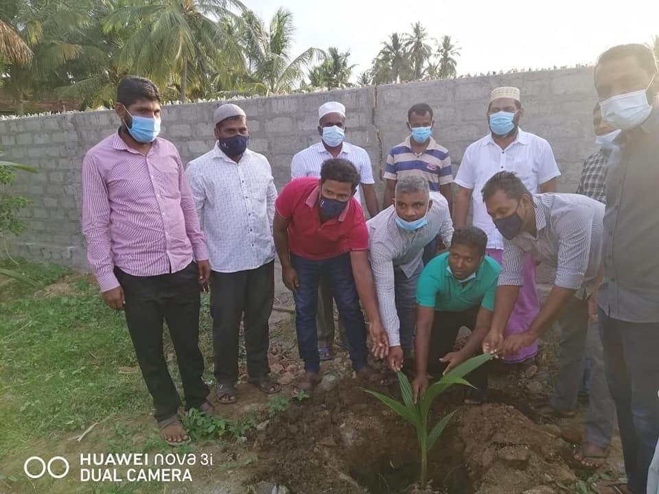 Community members planting a young tree during an environmental initiative in Pottuvil.